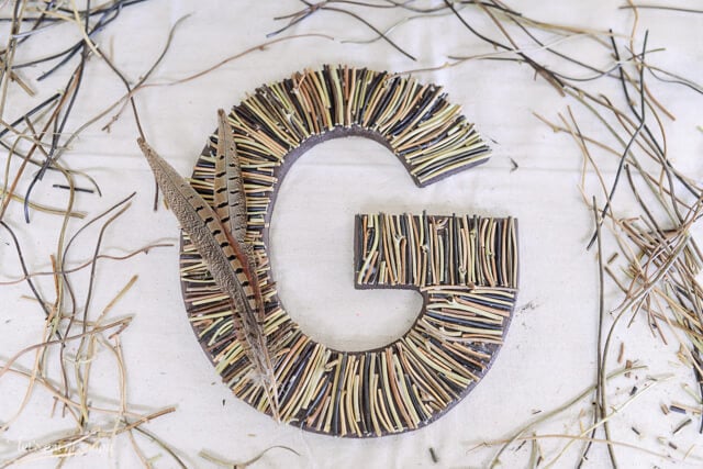 sticks glued to brown G initial with feathers